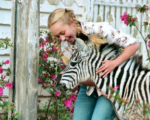 Im Rennstall ist das Zebra los! (Racing Stripes)