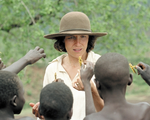 Nirgendwo in Afrika (Blu-ray)