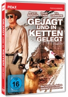 Gejagt und in Ketten gelegt
